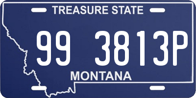 MT license plate 993813P