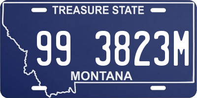 MT license plate 993823M