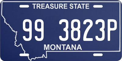 MT license plate 993823P