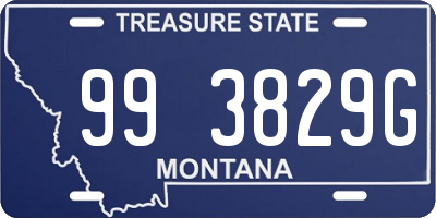 MT license plate 993829G