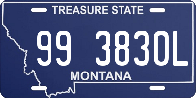 MT license plate 993830L