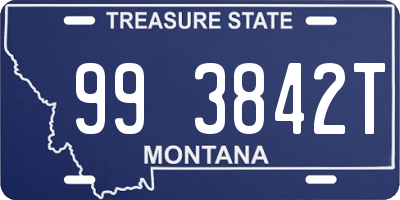 MT license plate 993842T