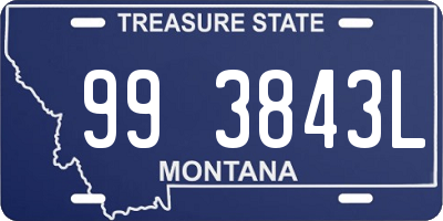 MT license plate 993843L