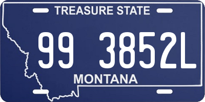 MT license plate 993852L