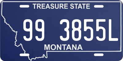 MT license plate 993855L