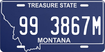 MT license plate 993867M