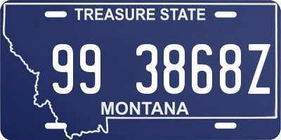 MT license plate 993868Z