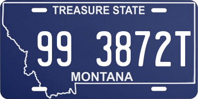 MT license plate 993872T