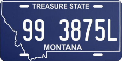 MT license plate 993875L