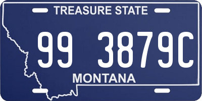 MT license plate 993879C