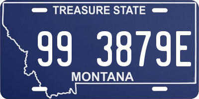 MT license plate 993879E