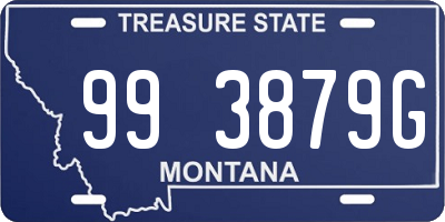 MT license plate 993879G