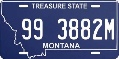 MT license plate 993882M
