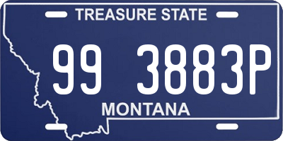 MT license plate 993883P