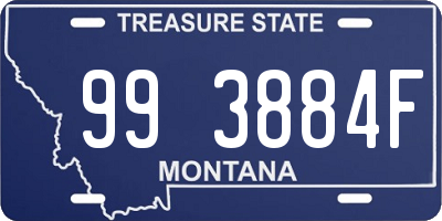 MT license plate 993884F