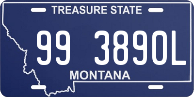 MT license plate 993890L