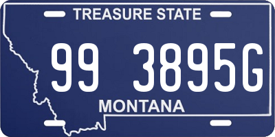 MT license plate 993895G