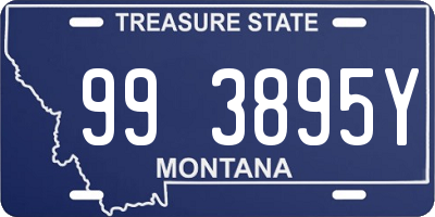 MT license plate 993895Y