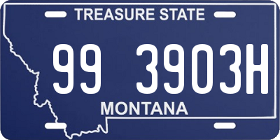 MT license plate 993903H