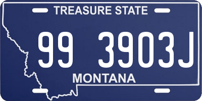 MT license plate 993903J