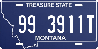 MT license plate 993911T