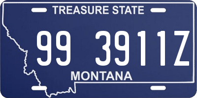 MT license plate 993911Z