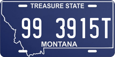 MT license plate 993915T