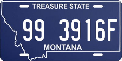 MT license plate 993916F