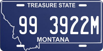 MT license plate 993922M