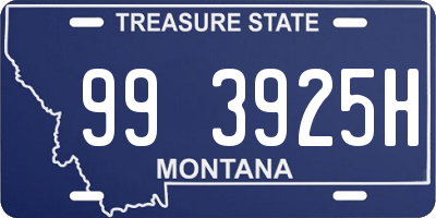 MT license plate 993925H