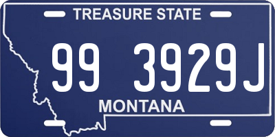 MT license plate 993929J