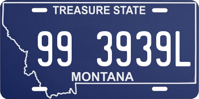 MT license plate 993939L