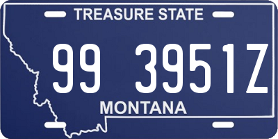 MT license plate 993951Z