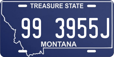 MT license plate 993955J