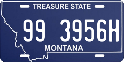 MT license plate 993956H