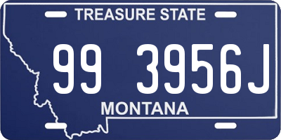 MT license plate 993956J