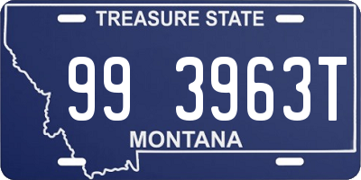 MT license plate 993963T