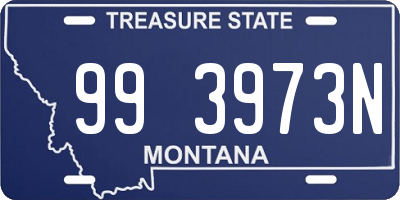 MT license plate 993973N