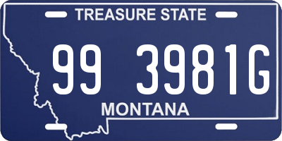 MT license plate 993981G