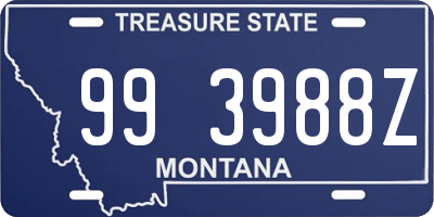 MT license plate 993988Z