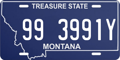 MT license plate 993991Y