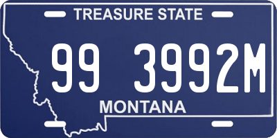 MT license plate 993992M