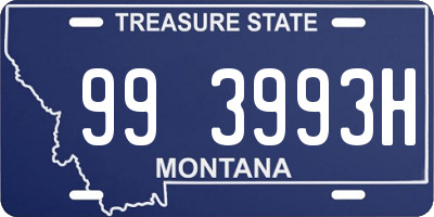 MT license plate 993993H