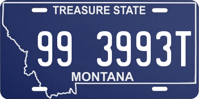 MT license plate 993993T