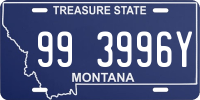 MT license plate 993996Y