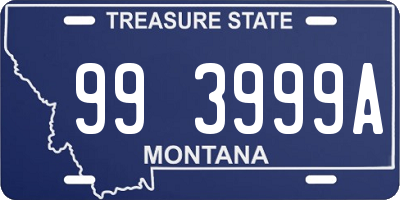 MT license plate 993999A