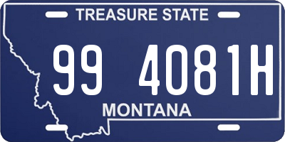 MT license plate 994081H