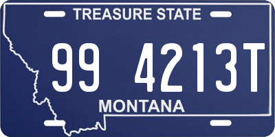 MT license plate 994213T