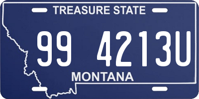 MT license plate 994213U