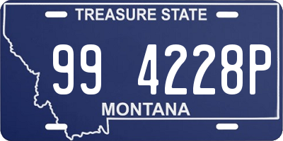 MT license plate 994228P